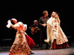 Carmen flamenco photo 2 - Copie