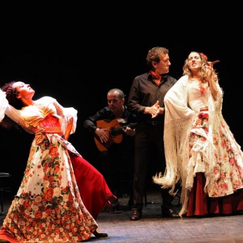 Carmen flamenco photo 2 - Copie