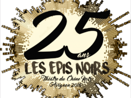 logo25 ans Epis Avignon 2016