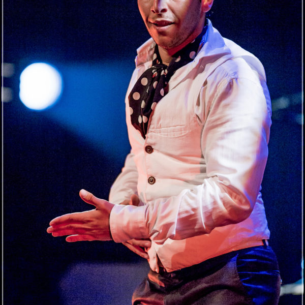 Flamenco por un poeta