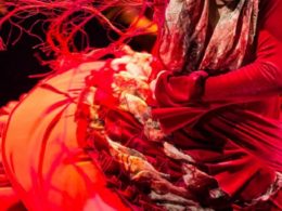 cabaret-flamenco-chenenoir