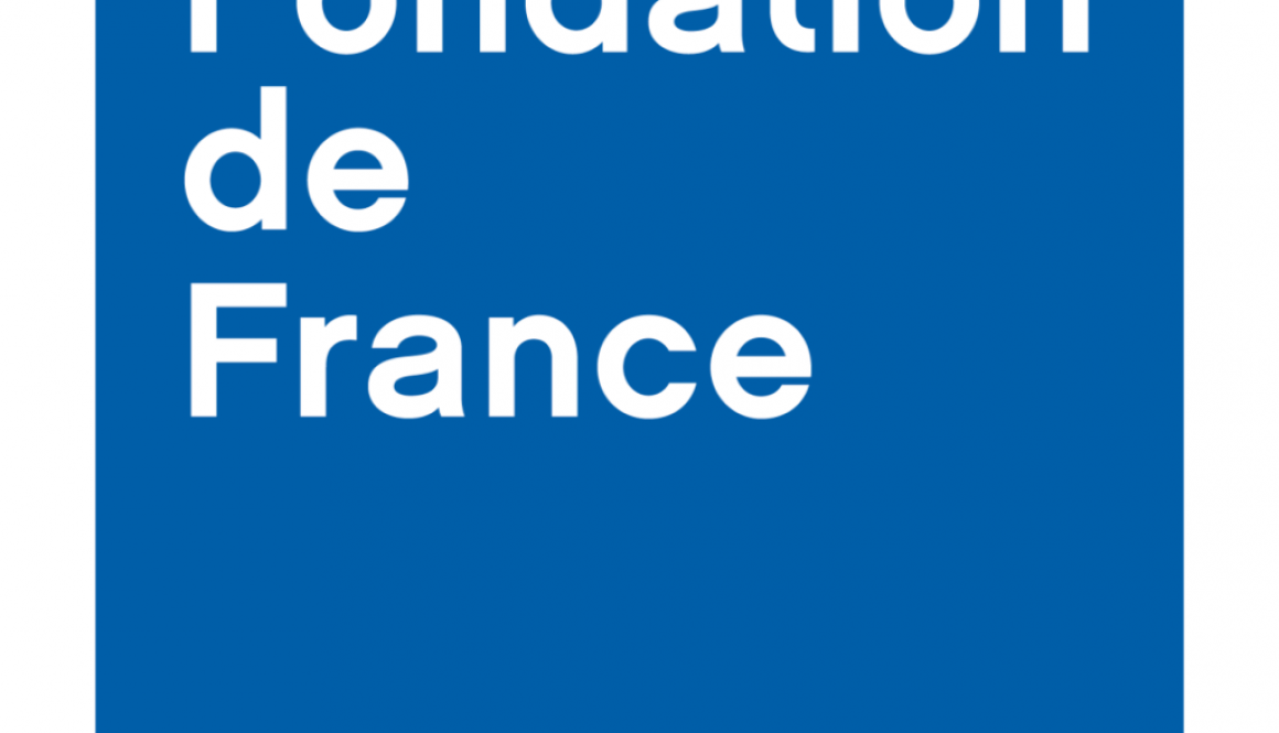 appel des solidarités fondation-de-france