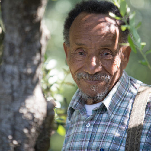 Conference de Pierre Rabhi a Saint Mandrier dans le Var sur l agroecologie au service de la terre et de l humanisme