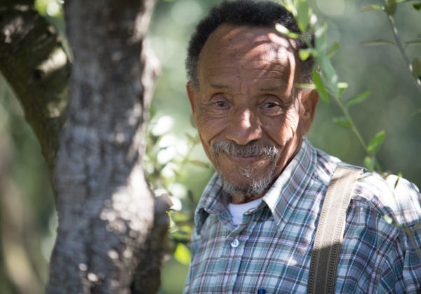 Conference de Pierre Rabhi a Saint Mandrier dans le Var sur l agroecologie au service de la terre et de l humanisme