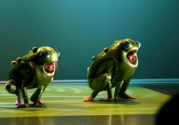la-sextape-de-darwin-theatre-du-chene-noir.jpeg