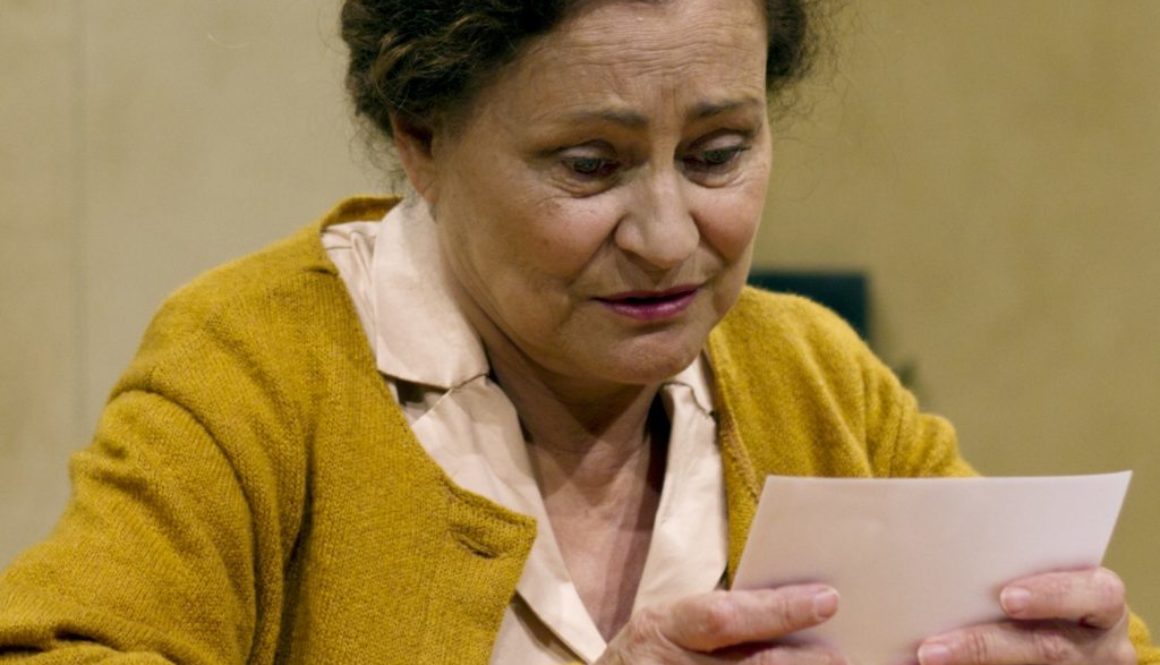ensemble-festival-avignon-theatre-du-chene-noir