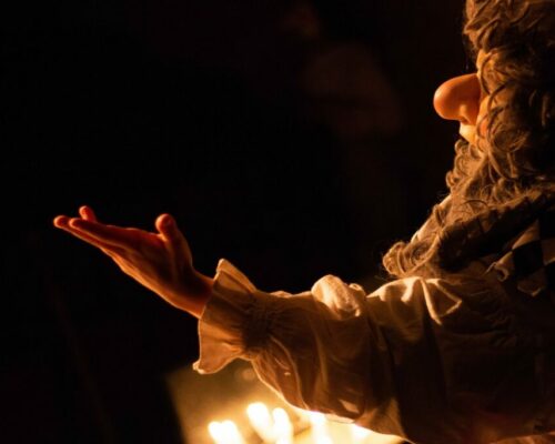 Cyrano Théâtre du Chêne noir 2023