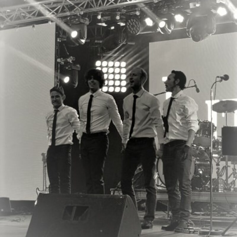 the-littles-tribute-beatles-2