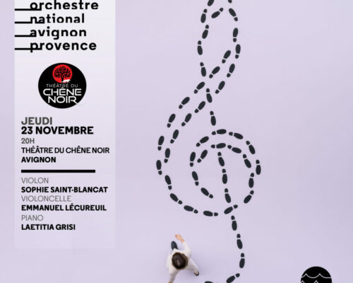 orchestre-s-eclate-en-ville-chene-noir-avignon