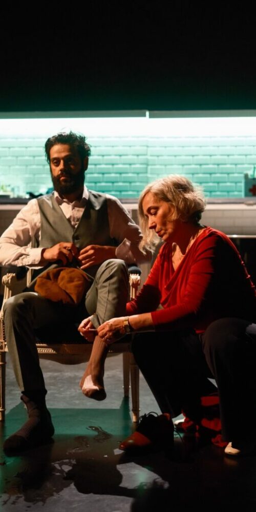 le-malade-imaginaire-credit photo_laura bousquet